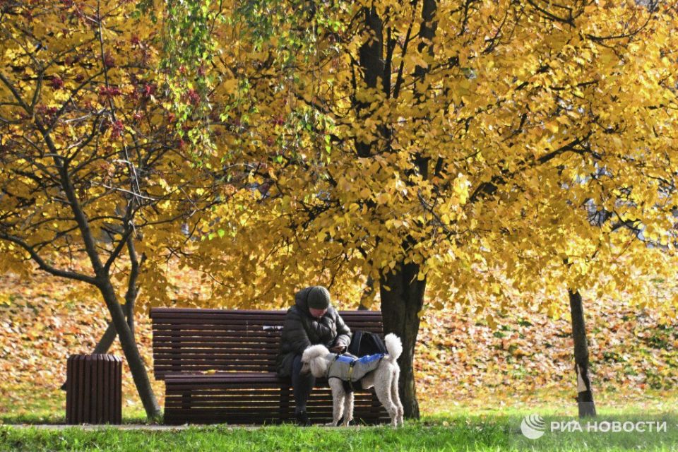 Температура в Москве вернется в климатическую норму в пятницу, воздух прогреется до +8-10 градусов, сообщил ведущий специалист центра погоды "Фобос" Михаил Леус