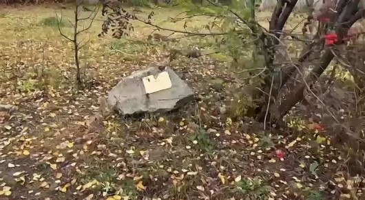  - .             -  