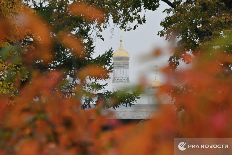 Комфортная погода ждет москвичей в выходные, рассказала РИА Новости главный специалист столичного метеобюро Татьяна Позднякова