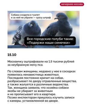 Неделя подходит к концу, а значит — время для свежей порции мемов!