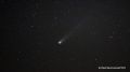              C/2025 A6 (Lemmon),    
