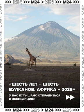    ?     :  2025            