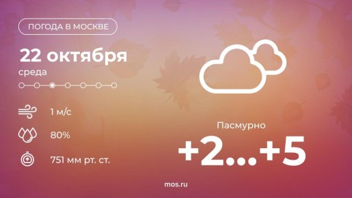 Доброе утро! Сегодня в Москве будет пасмурно