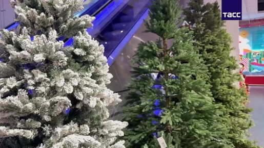 Московские магазины начали продажи искусственных елок к Новому году