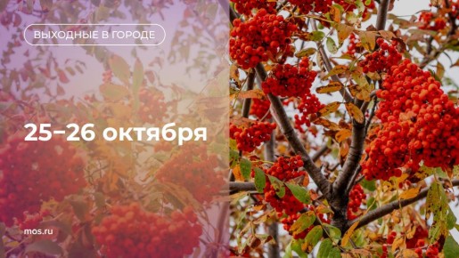 Пора планировать выходные! Куда сходить, рассказываем в нашем дайджесте