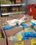 Котика заметили в коробке с акционными макаронами в супермаркете