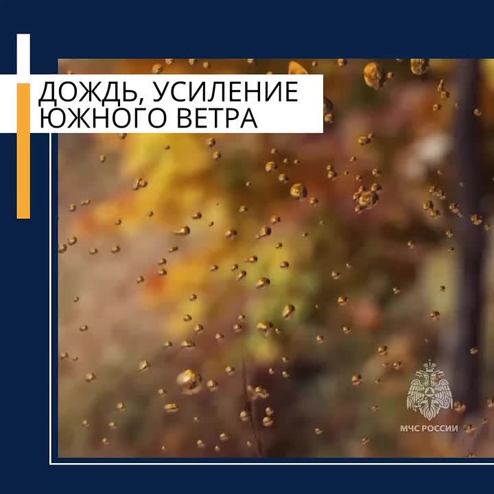 Уважаемые москвичи и гости столицы