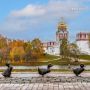 Идем гулять по Москве, как эти утята