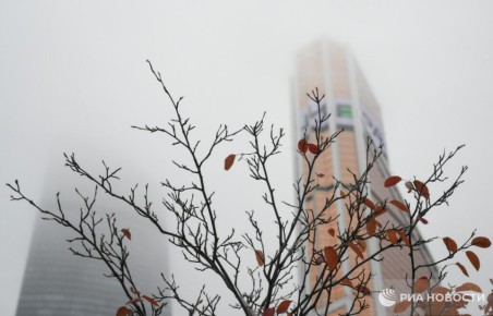 Небольшой дождь, туман, температура воздуха до +11 ожидаются в Москве в субботу, все выходные будет сохранятся не по сезону теплая погода, сообщил РИА Новости синоптик "Фобоса" Тишковец