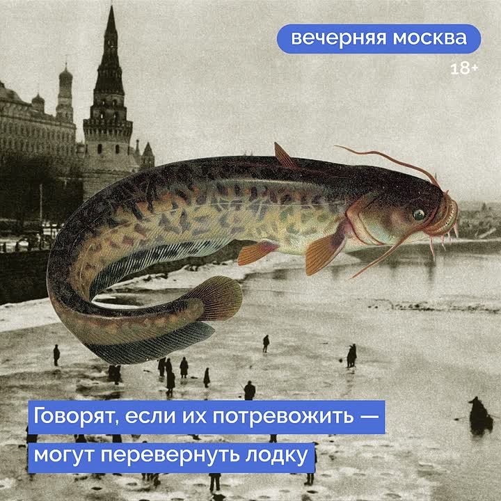 Сложно представить облик столицы без ее главного украшения — Москвы-реки