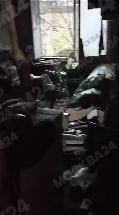 Около 20 кошек остались без попечения в квартире дома на Парковой улице, 29. Хозяина госпитализировали пять дней назад, и когда мужчина вернётся домой, неизвестно