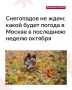 До конца месяца снегопадов в столице ждать не стоит, а температура воздуха будет выше климатической нормы на 2–4 градуса