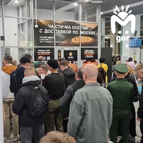 Рейс Владикавказ – Москва больше суток не может вылететь из-за птицы, попавшей в носовую часть самолёта