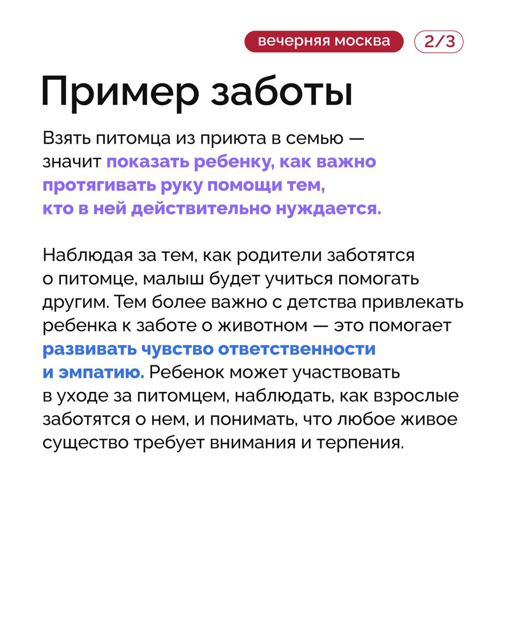 Исследование: общение с животными положительно влияет на самочувствие и помогает избежать многих проблем — от депрессии до заболеваний сердца Исследование: общение с животными положительно влияет на самочувствие и помогает избежать многих проблем — от депрессии до заболеваний сердца
