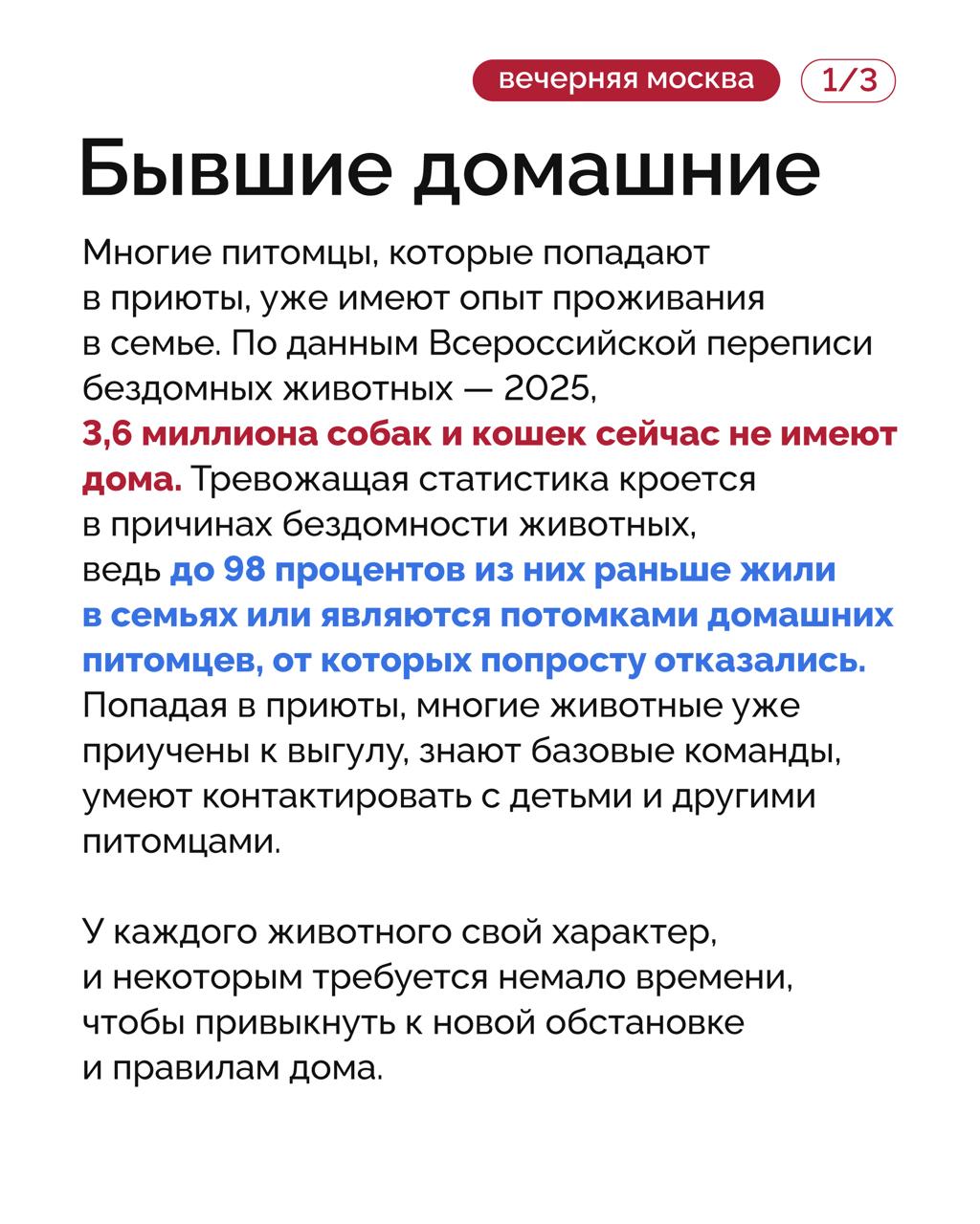Исследование: общение с животными положительно влияет на самочувствие и помогает избежать многих проблем — от депрессии до заболеваний сердца Исследование: общение с животными положительно влияет на самочувствие и помогает избежать многих проблем — от депрессии до заболеваний сердца