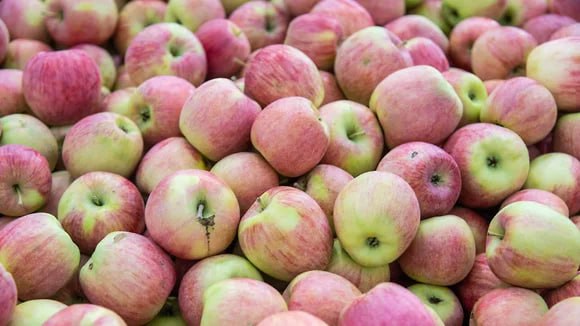 ВТБ хочет обанкротить крупнейшего производителя яблок в Воронежской области