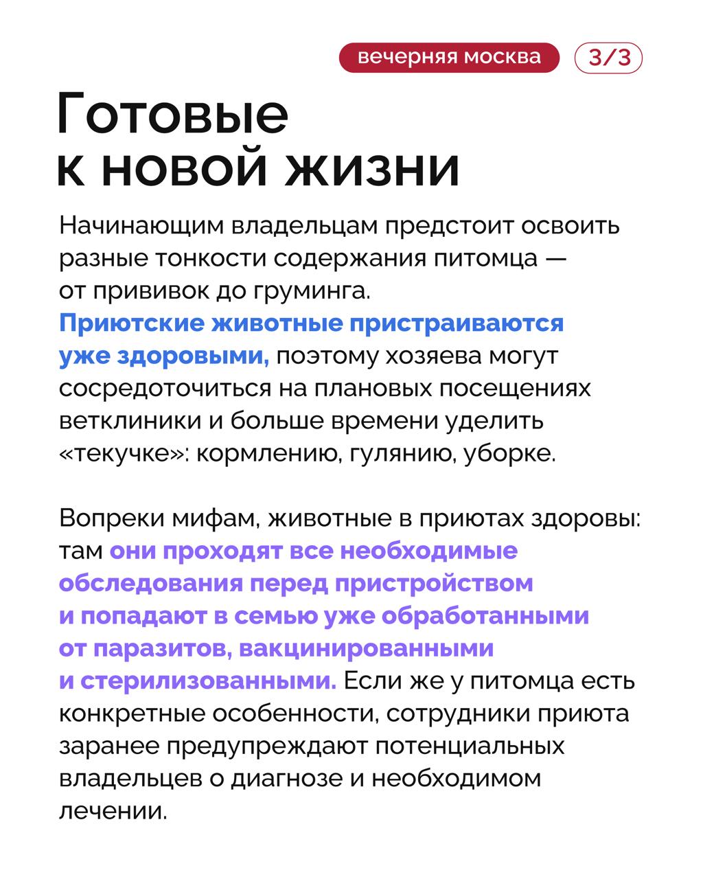 Исследование: общение с животными положительно влияет на самочувствие и помогает избежать многих проблем — от депрессии до заболеваний сердца Исследование: общение с животными положительно влияет на самочувствие и помогает избежать многих проблем — от депрессии до заболеваний сердца