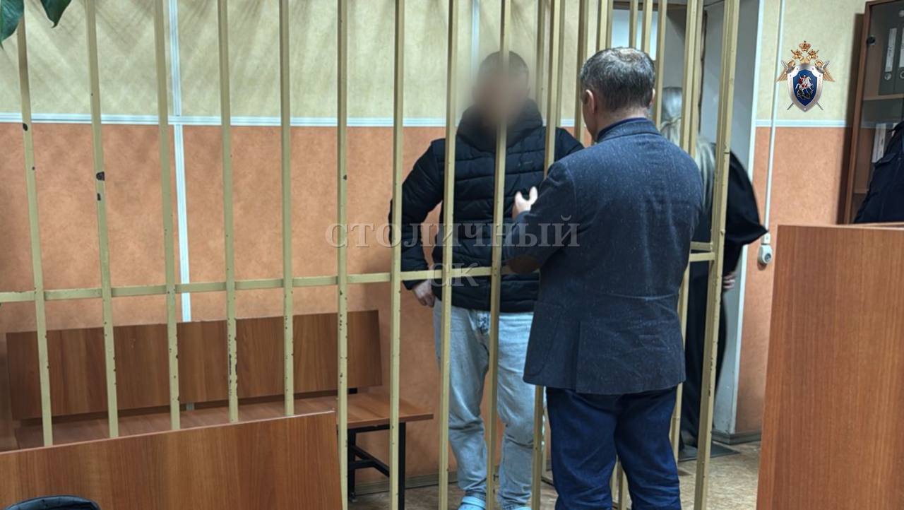 По ходатайству следствия обвиняемому в покушении на убийство знакомого на юго-востоке Москвы избрана мера пресечения в виде заключения под стражу