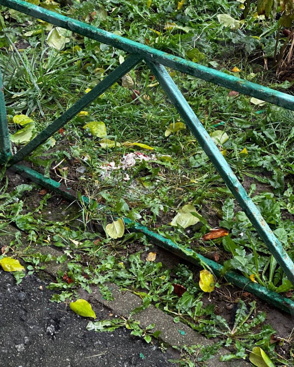 Массовое убийство домашних питомцев в подмосковном Путилково! Массовое убийство домашних питомцев в подмосковном Путилково!