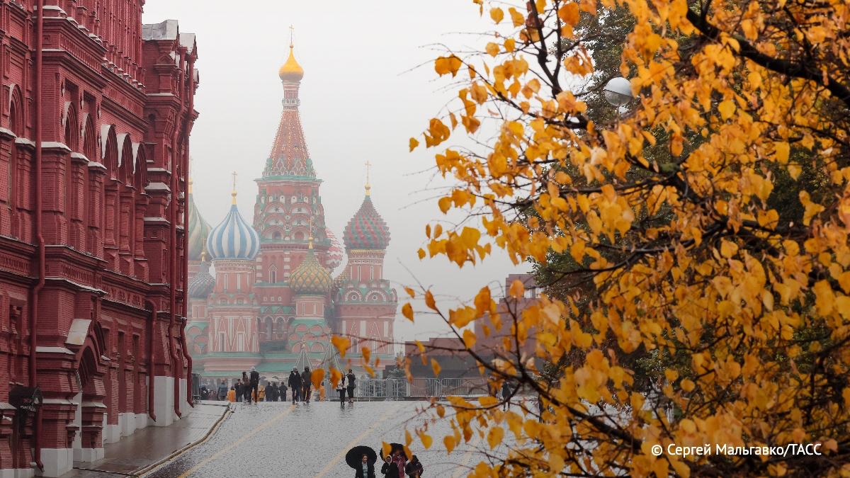 Небольшие дожди и теплая погода ожидается в Москве и области на праздничных выходных, сообщил ТАСС Вильфанд