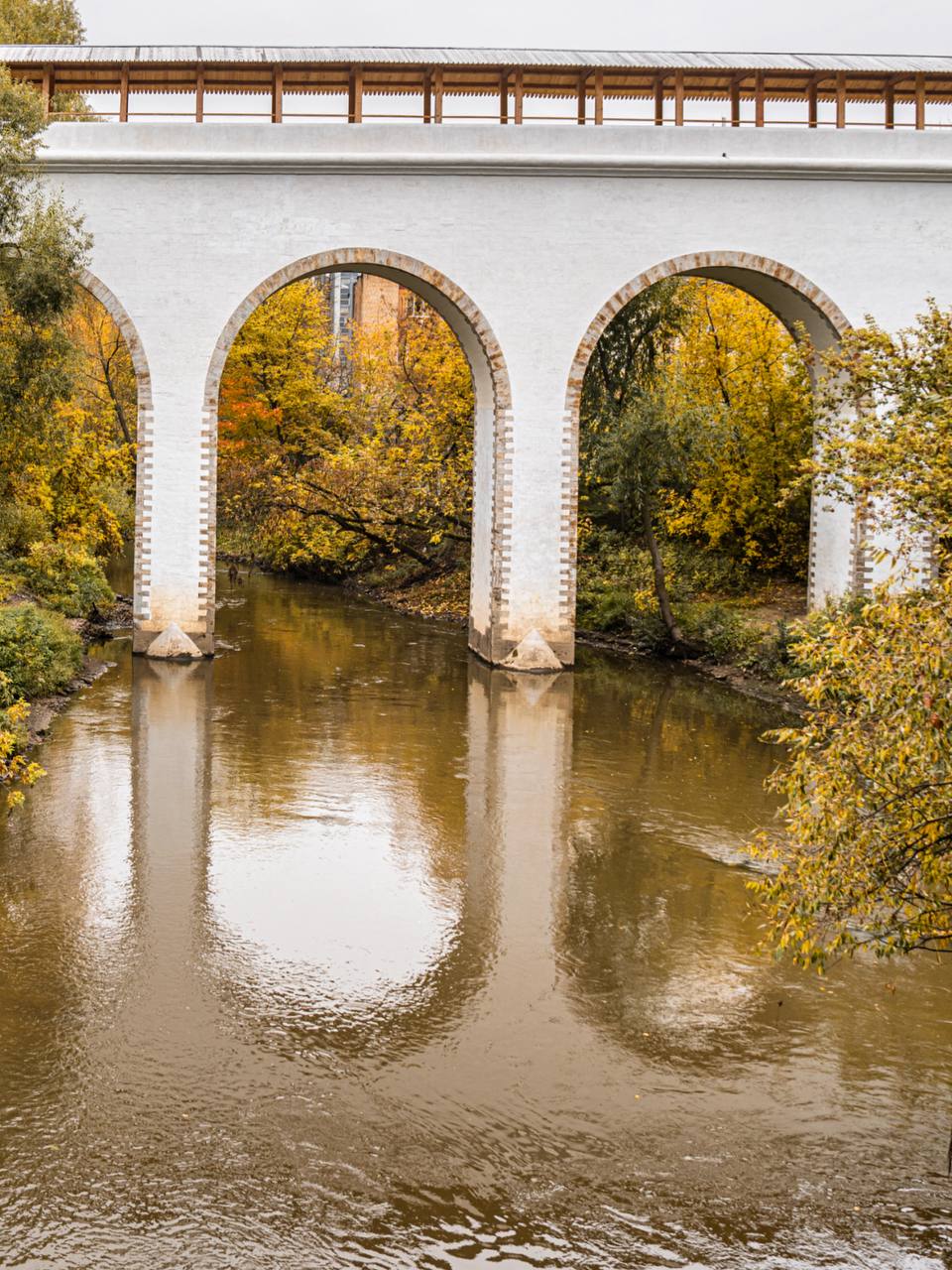 На моих фото Ростокинский акведук этой осенью На моих фото Ростокинский акведук этой осенью