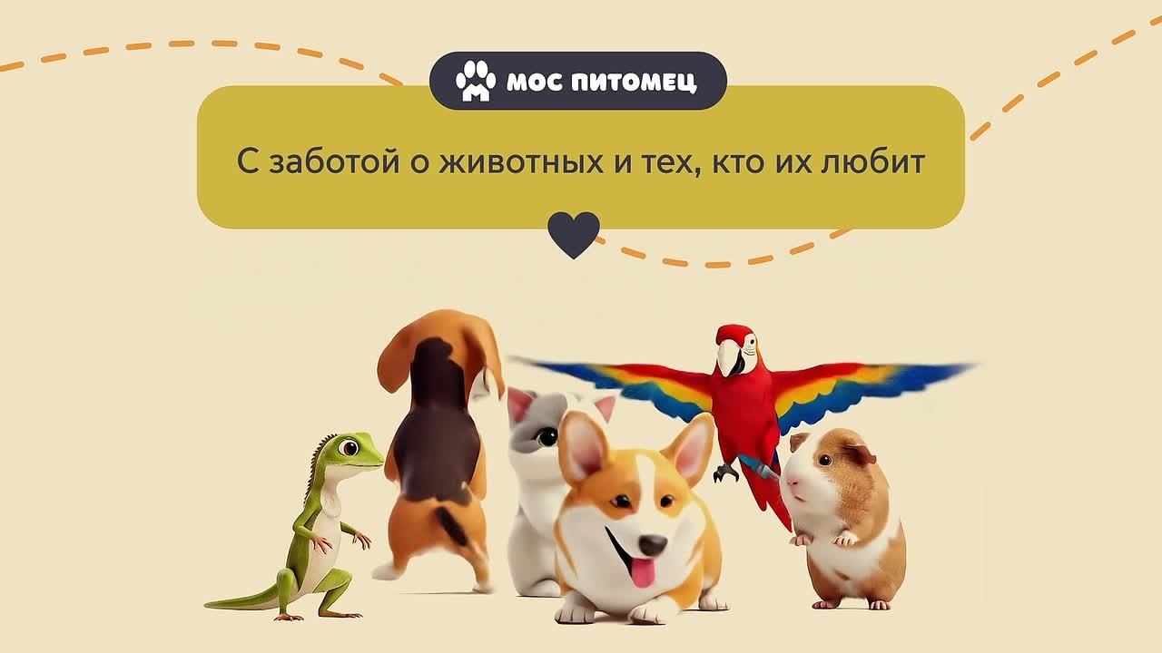 Если хотите завести домашнего любимца, то на портале mos.ru появился сервис специально для вас! «Моспитомец» поможет найти самого идеального четвероногого для вашего дома