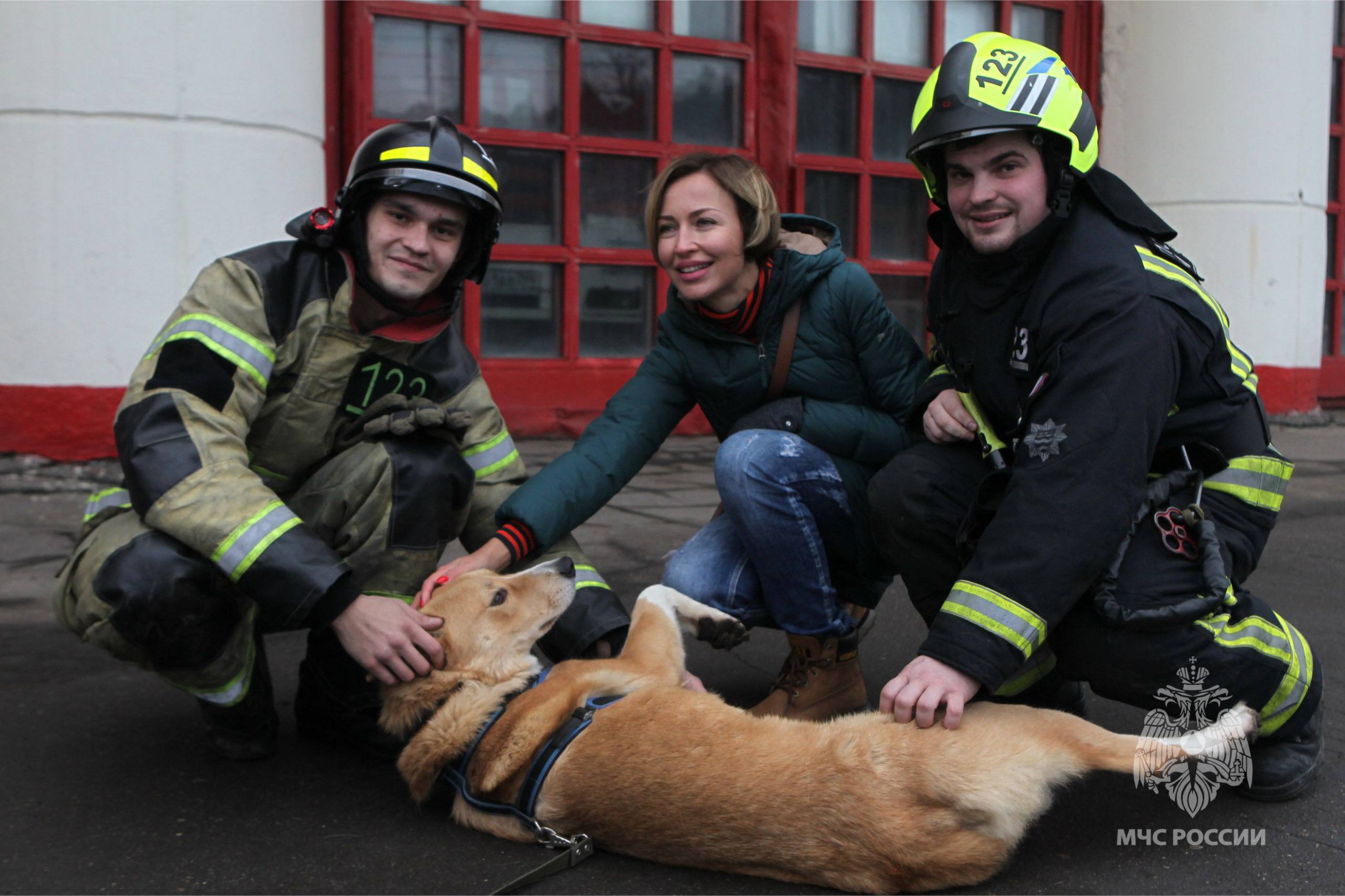Чрезвычайно доброе дело. С начала года в рамках акции «35 добрых дел», приуроченной к юбилею МЧС России, сотрудники столичного главка на постоянной основе посещают и оказывают различную помощь приютам для животных Чрезвычайно доброе дело. С начала года в рамках акции «35 добрых дел», приуроченной к юбилею МЧС России, сотрудники столичного главка на постоянной основе посещают и оказывают различную помощь приютам для животных