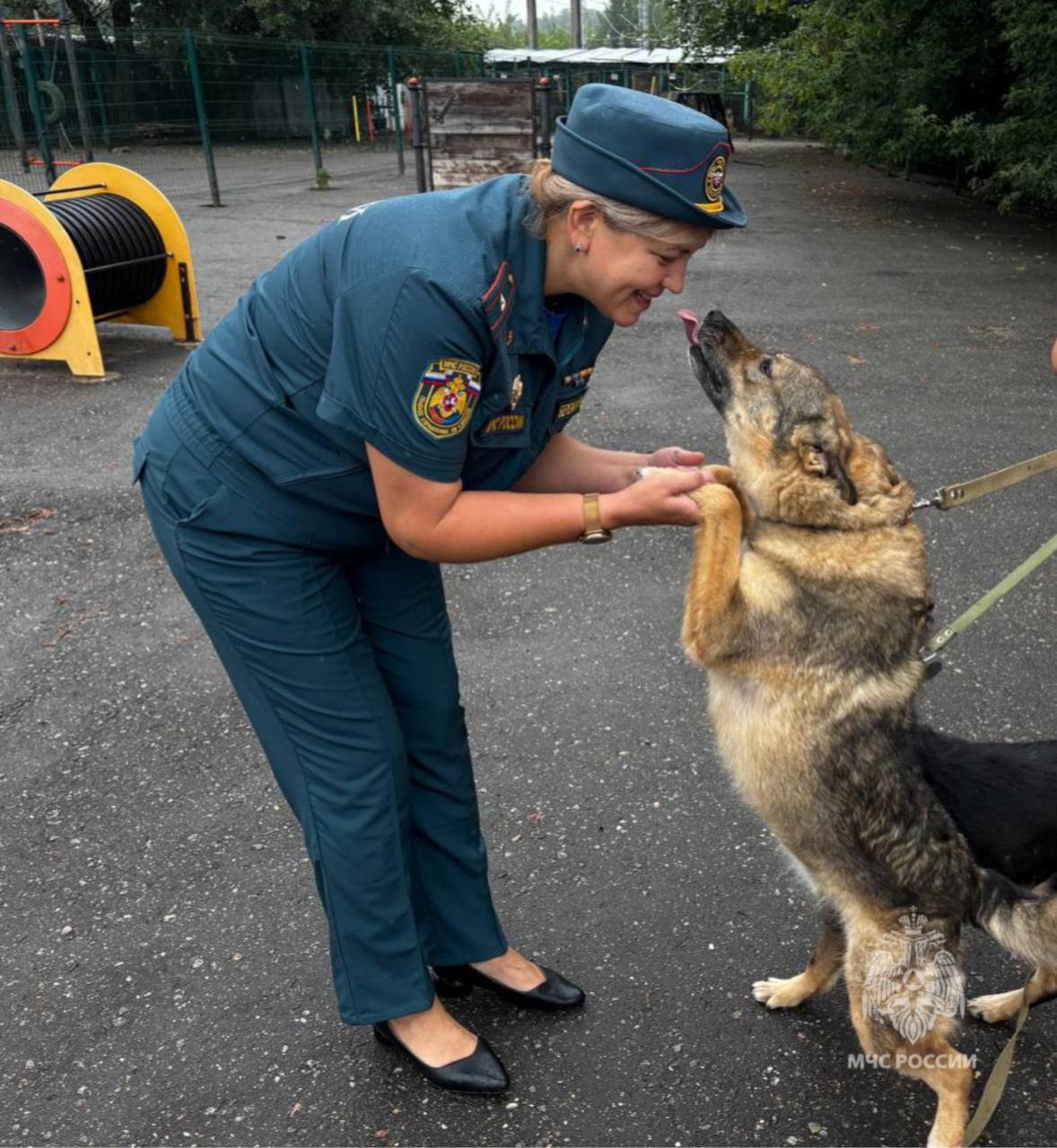 Чрезвычайно доброе дело. С начала года в рамках акции «35 добрых дел», приуроченной к юбилею МЧС России, сотрудники столичного главка на постоянной основе посещают и оказывают различную помощь приютам для животных Чрезвычайно доброе дело. С начала года в рамках акции «35 добрых дел», приуроченной к юбилею МЧС России, сотрудники столичного главка на постоянной основе посещают и оказывают различную помощь приютам для животных