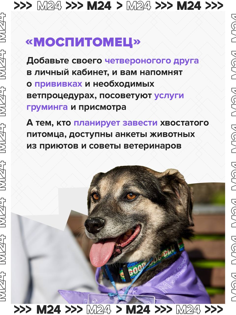 Мини-Москва в телефоне: mos.ru стал ядром цифровой экосистемы города Мини-Москва в телефоне: mos.ru стал ядром цифровой экосистемы города