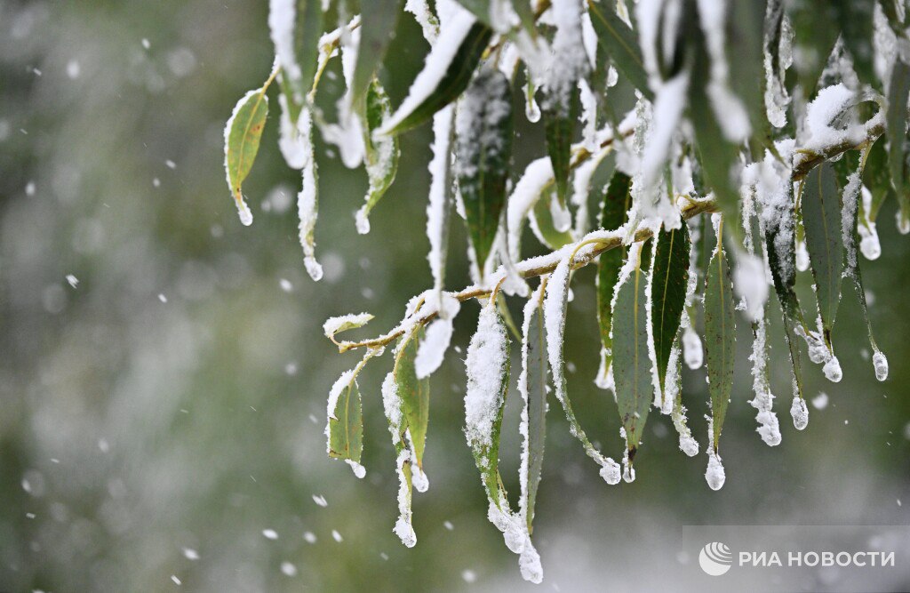 Снег в Москве, вероятно, пойдет в середине ноября, сообщила РИА Новости главный специалист столичного метеобюро Татьяна Позднякова
