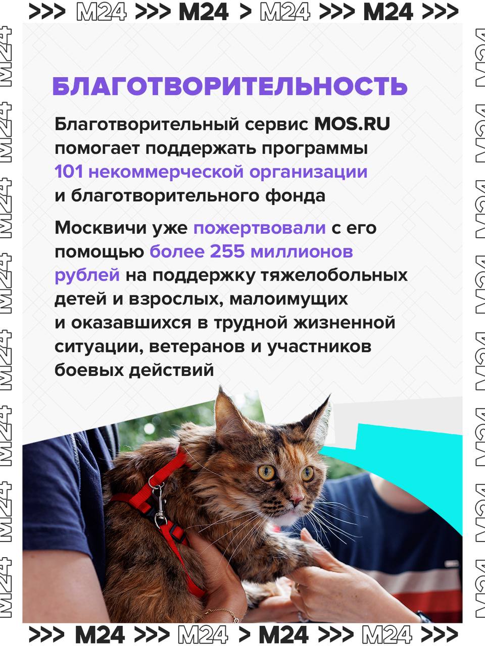 Мини-Москва в телефоне: mos.ru стал ядром цифровой экосистемы города Мини-Москва в телефоне: mos.ru стал ядром цифровой экосистемы города