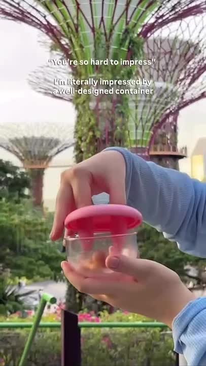 Импортный гаджет для перекуса уже появился на российских маркетплейсах