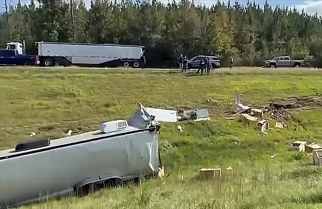 Обезьяны, заражённые гепатитом С, герпесом и COVID, сбежали из грузовика в США