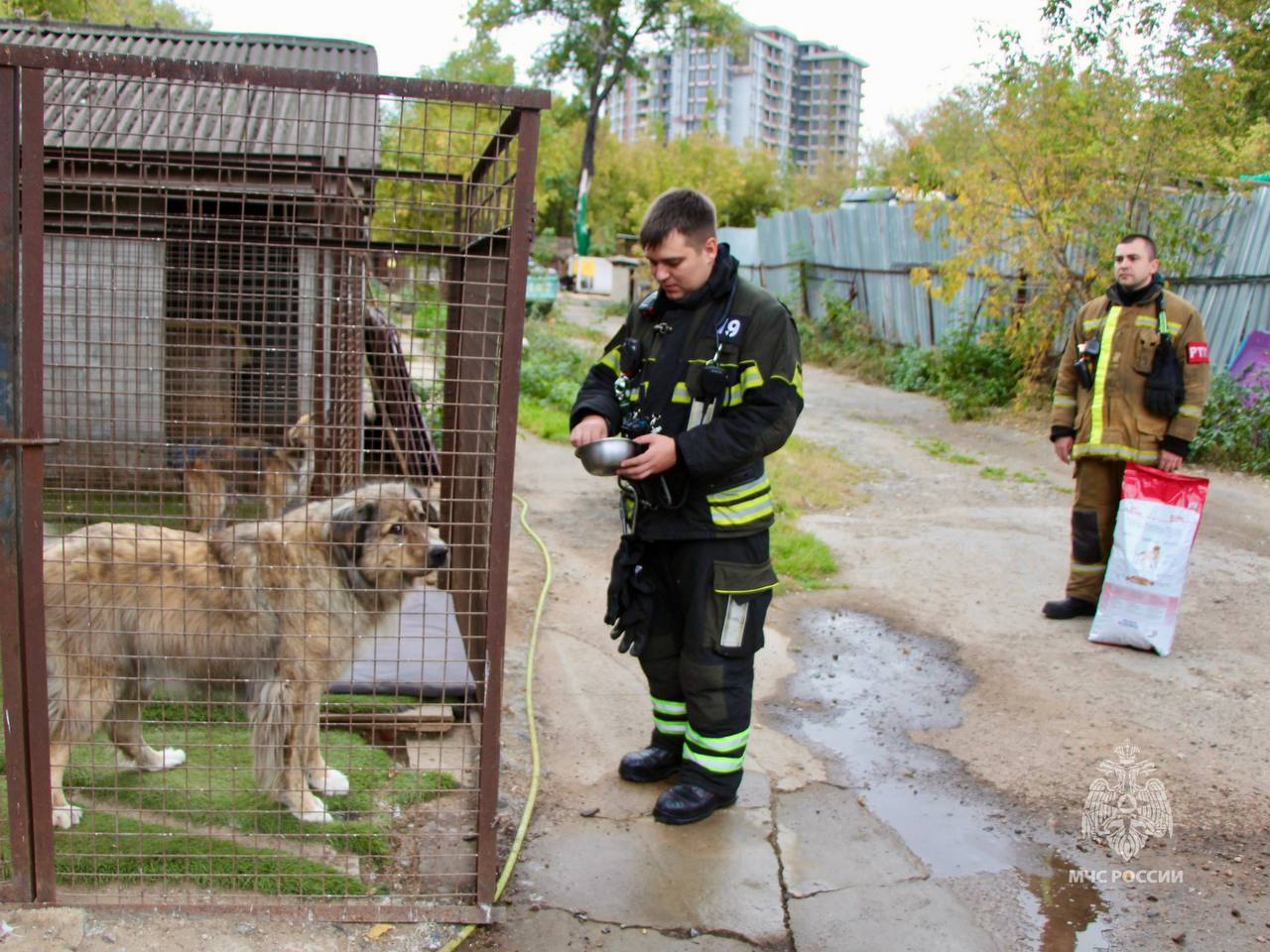 Чрезвычайно доброе дело. С начала года в рамках акции «35 добрых дел», приуроченной к юбилею МЧС России, сотрудники столичного главка на постоянной основе посещают и оказывают различную помощь приютам для животных Чрезвычайно доброе дело. С начала года в рамках акции «35 добрых дел», приуроченной к юбилею МЧС России, сотрудники столичного главка на постоянной основе посещают и оказывают различную помощь приютам для животных