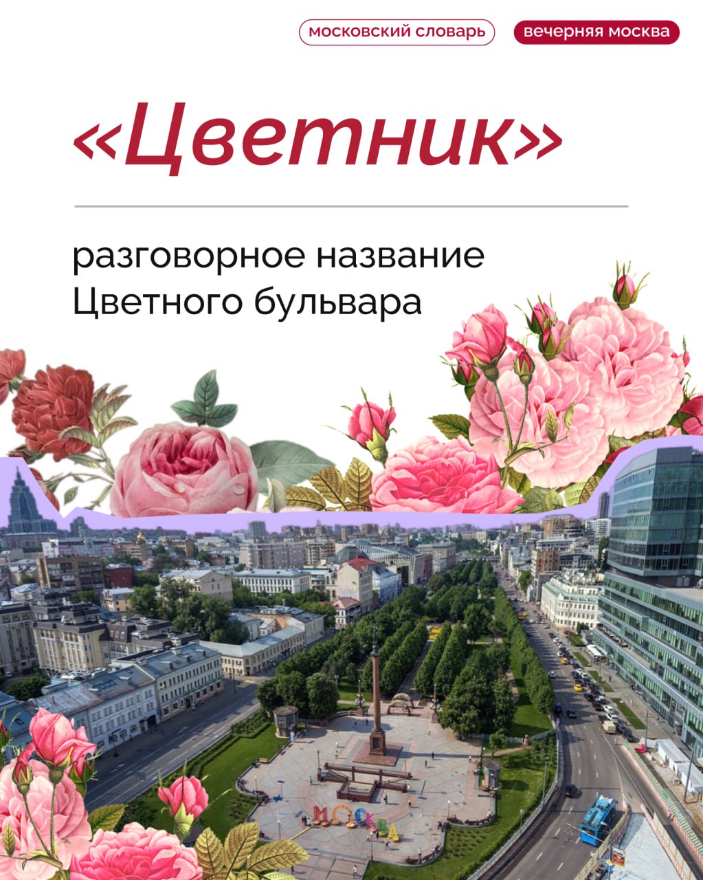 «Цветник», или история Цветного бульвара