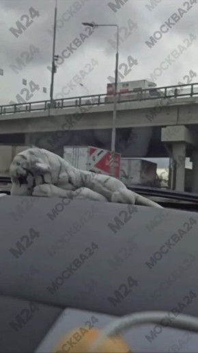 Мощный пожар на 14 км МКАД, сообщают очевидцы