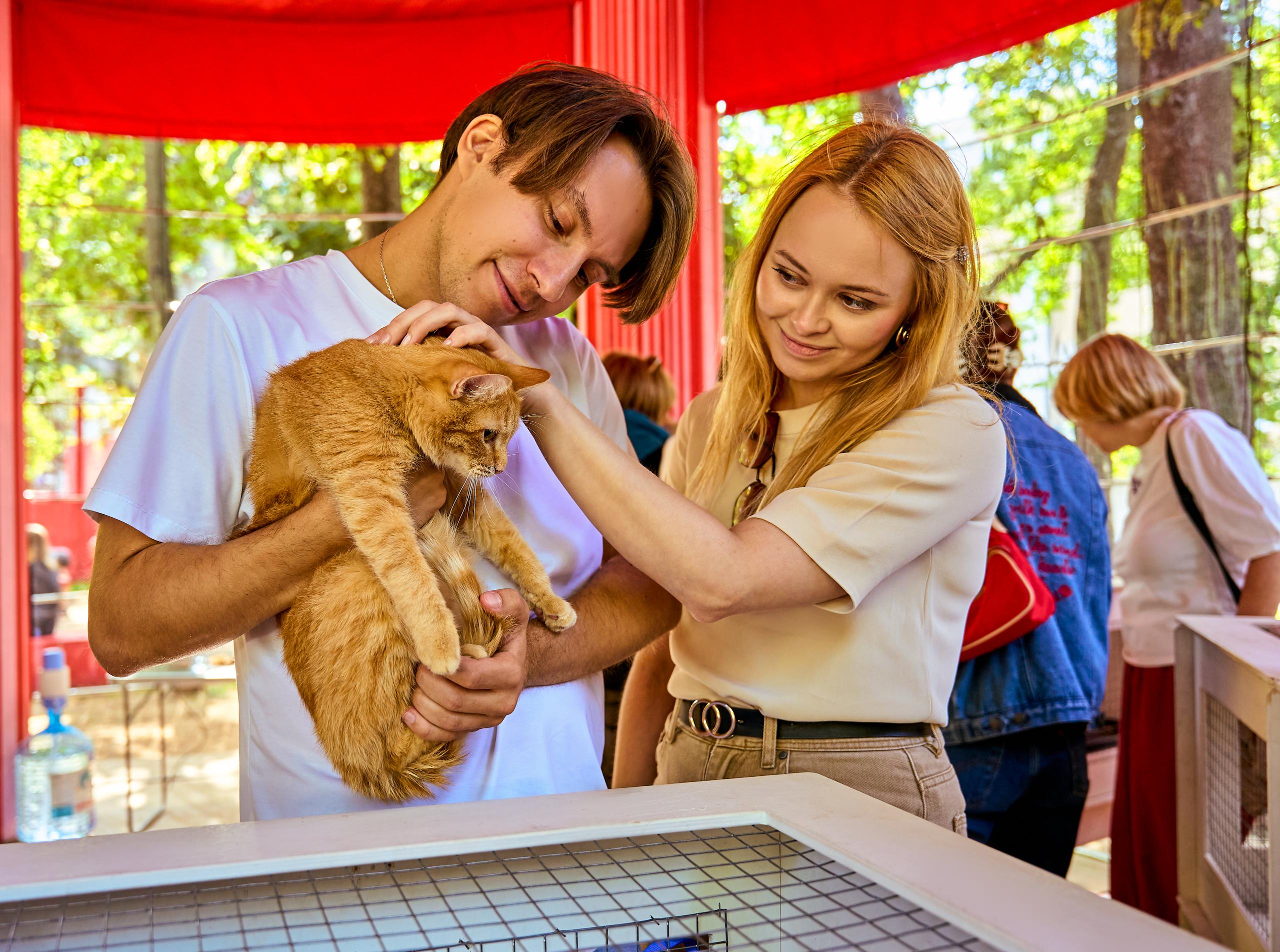 Откройте свое сердце для четвероногих друзей! На портале mos.ru появился сервис «Моспитомец» Откройте свое сердце для четвероногих друзей! На портале mos.ru появился сервис «Моспитомец»