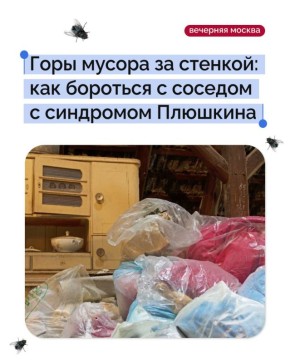 Когда сосед превращает квартиру в свалку: что можно сделать?