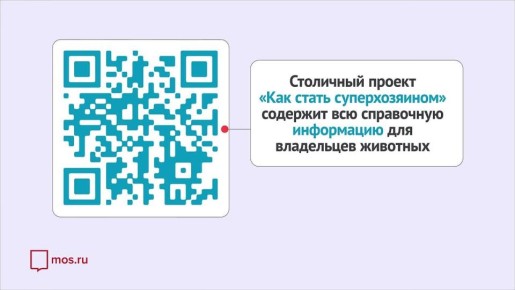 К выбору питомца из приюта важно подготовиться заранее