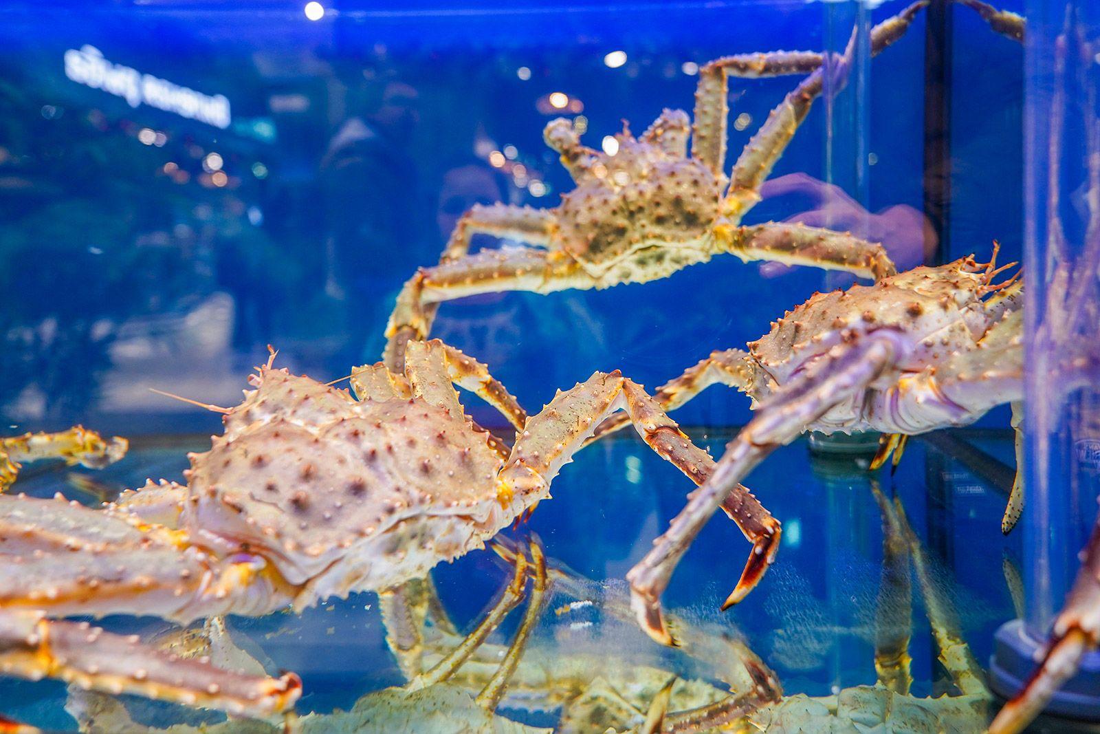 Рыбные рынки «Москва — на волне» теперь доставляют товары на дом Рыбные рынки «Москва — на волне» теперь доставляют товары на дом