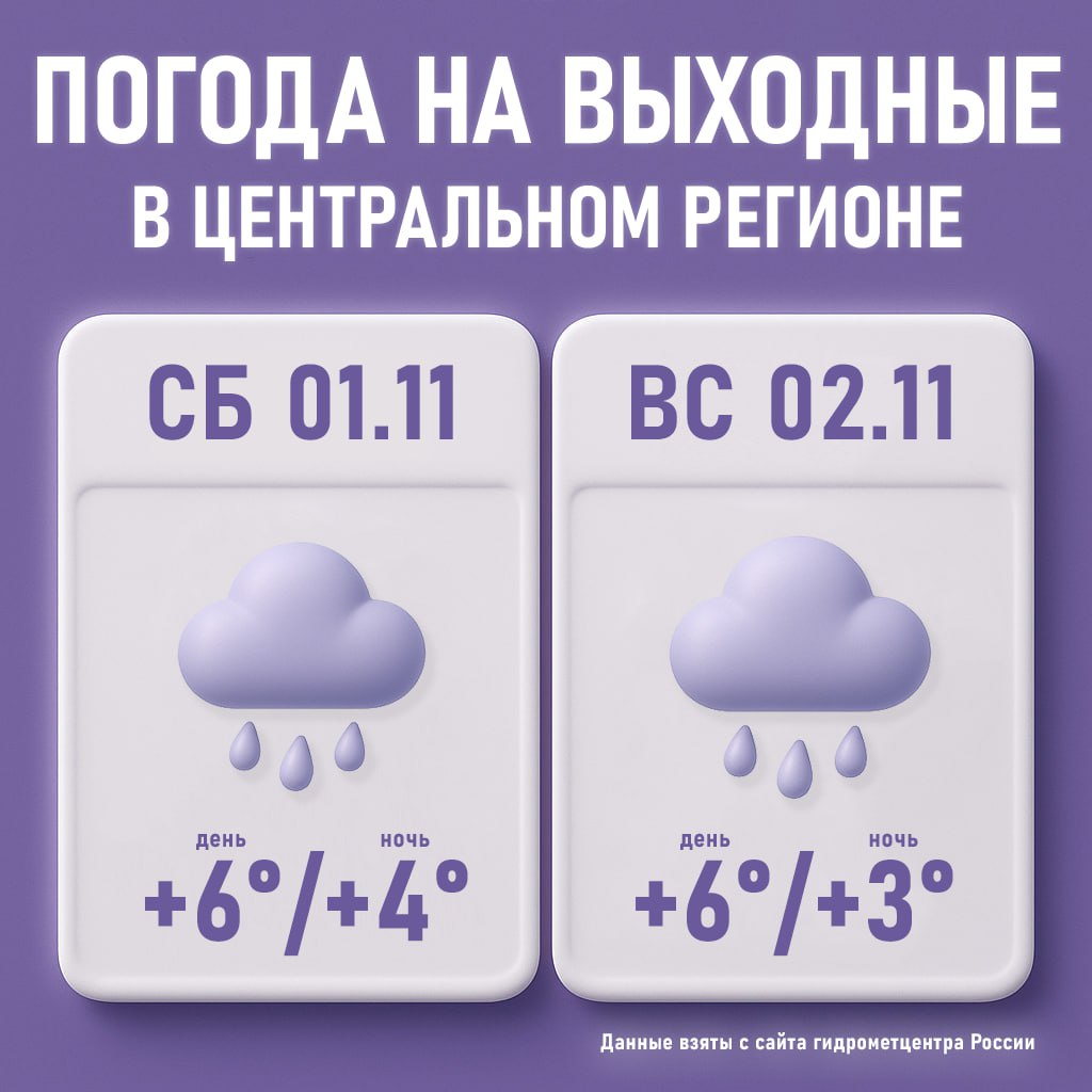 В первые выходные ноября Москву ожидает пасмурная и дождливая погода