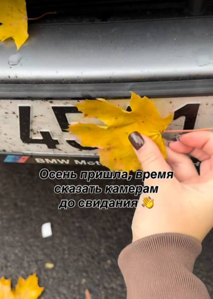 В соцсетях завирусился ролик, на котором девушка ловко скрывает госномера осенней листвой