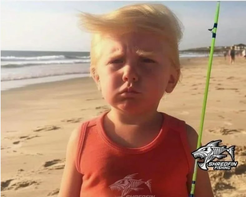 Financial Times пишут о причинах отмены Трампом встречи с Владимиром Путиным в Будапеште