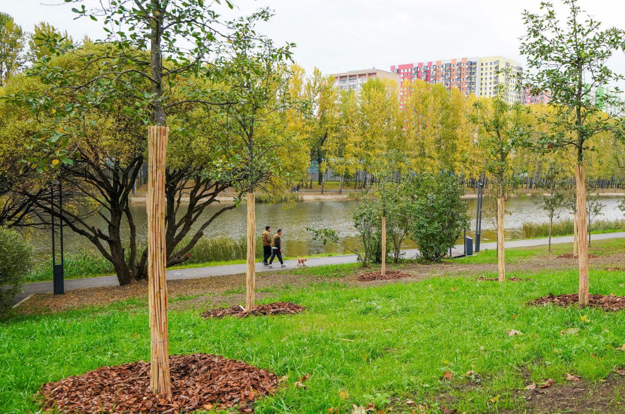 Евгений Попов: В этом году на Западе Москвы благоустроили парк «Пионерский» в районе Фили-Давыдково и территорию у Беловежского пруда в Можайском районе Евгений Попов: В этом году на Западе Москвы благоустроили парк «Пионерский» в районе Фили-Давыдково и территорию у Беловежского пруда в Можайском районе