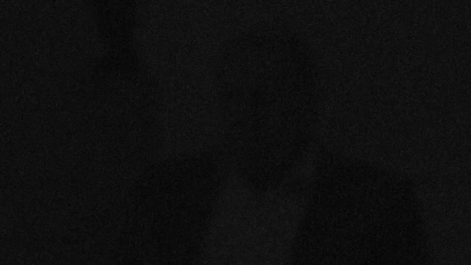       ..      -   .. (, 1  2025 )