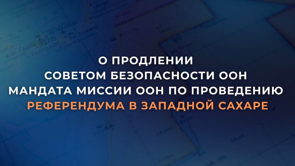 31         2797               (#)