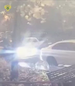      ,       256    82   ( 28  ) 