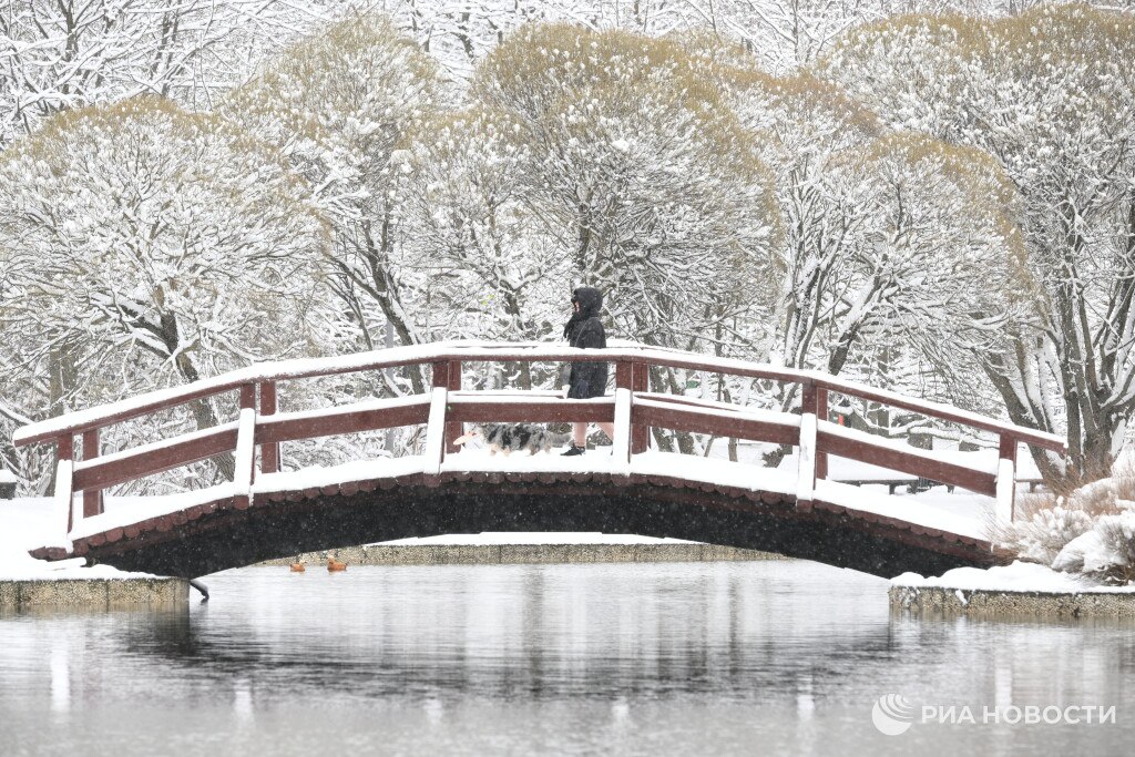 Метеорологическая зима наступит в Москве в середине ноября, начнутся заморозки и пойдёт снег, сообщил синоптик Тишковец