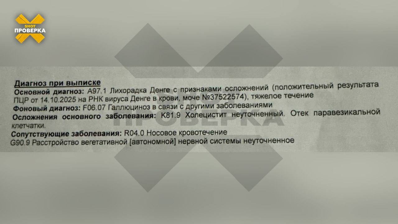 Случаи заболевания смертельно опасной лихорадкой денге фиксируют у российских туристов на Мальдивах Случаи заболевания смертельно опасной лихорадкой денге фиксируют у российских туристов на Мальдивах