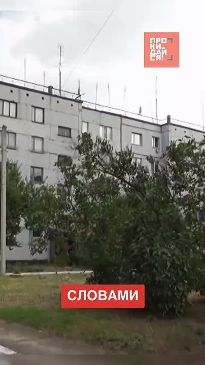 &quot; &quot;  &quot;  &quot;  